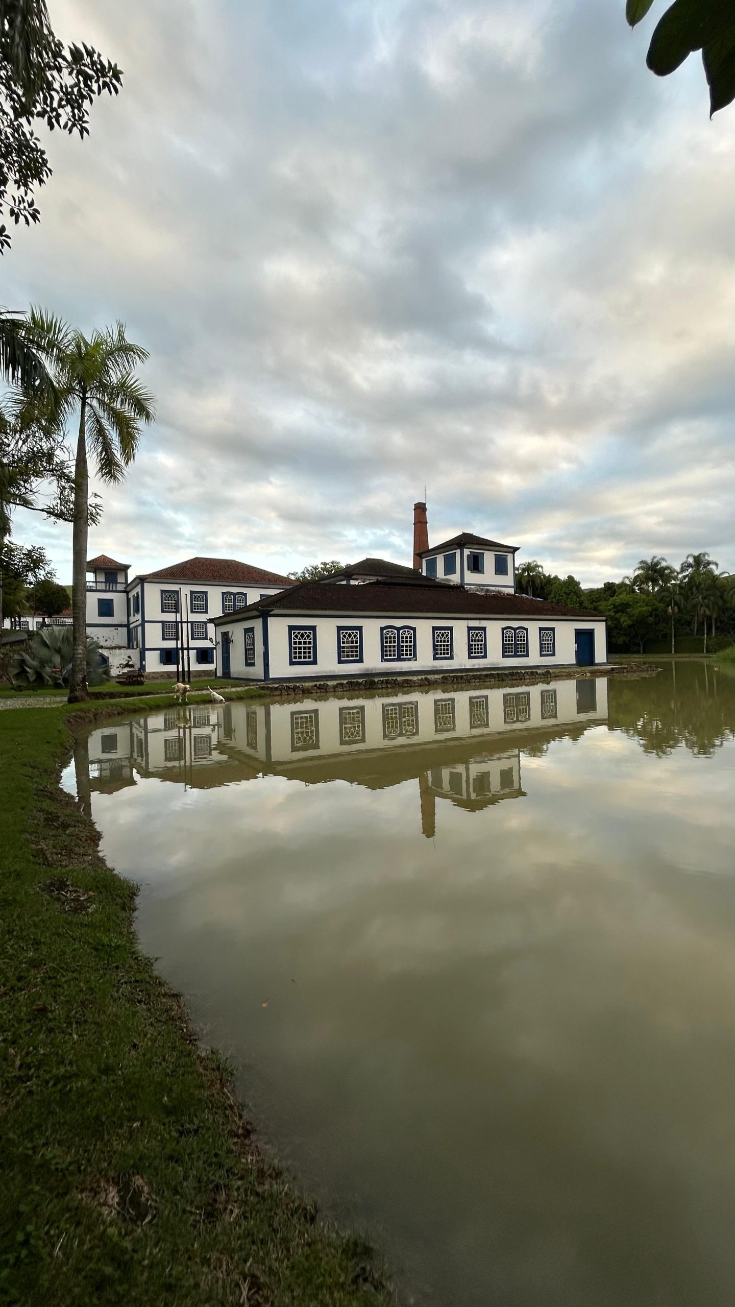 Galeria